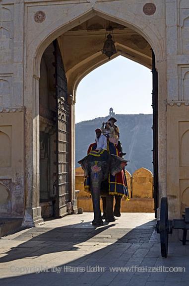04 Fort_Amber_and Elephants,_Jaipur_DSC5060_b_H600